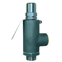 Stainless Steel Proportional Lift Relief Valve