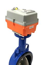 Cast Iron Butterfly Valve with AVA Electric Actuator